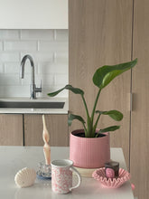 Load image into Gallery viewer, Strawberry Cereal Mug