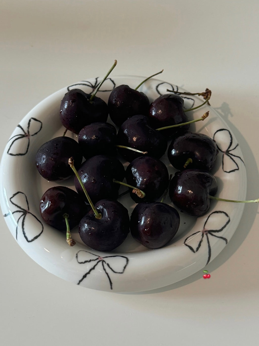 Two Small+ Two X-Small Plate Set