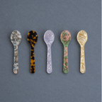 Ice Cream Dessert Spoon Set (5)