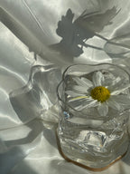 Vézère Glass (Set of Four)