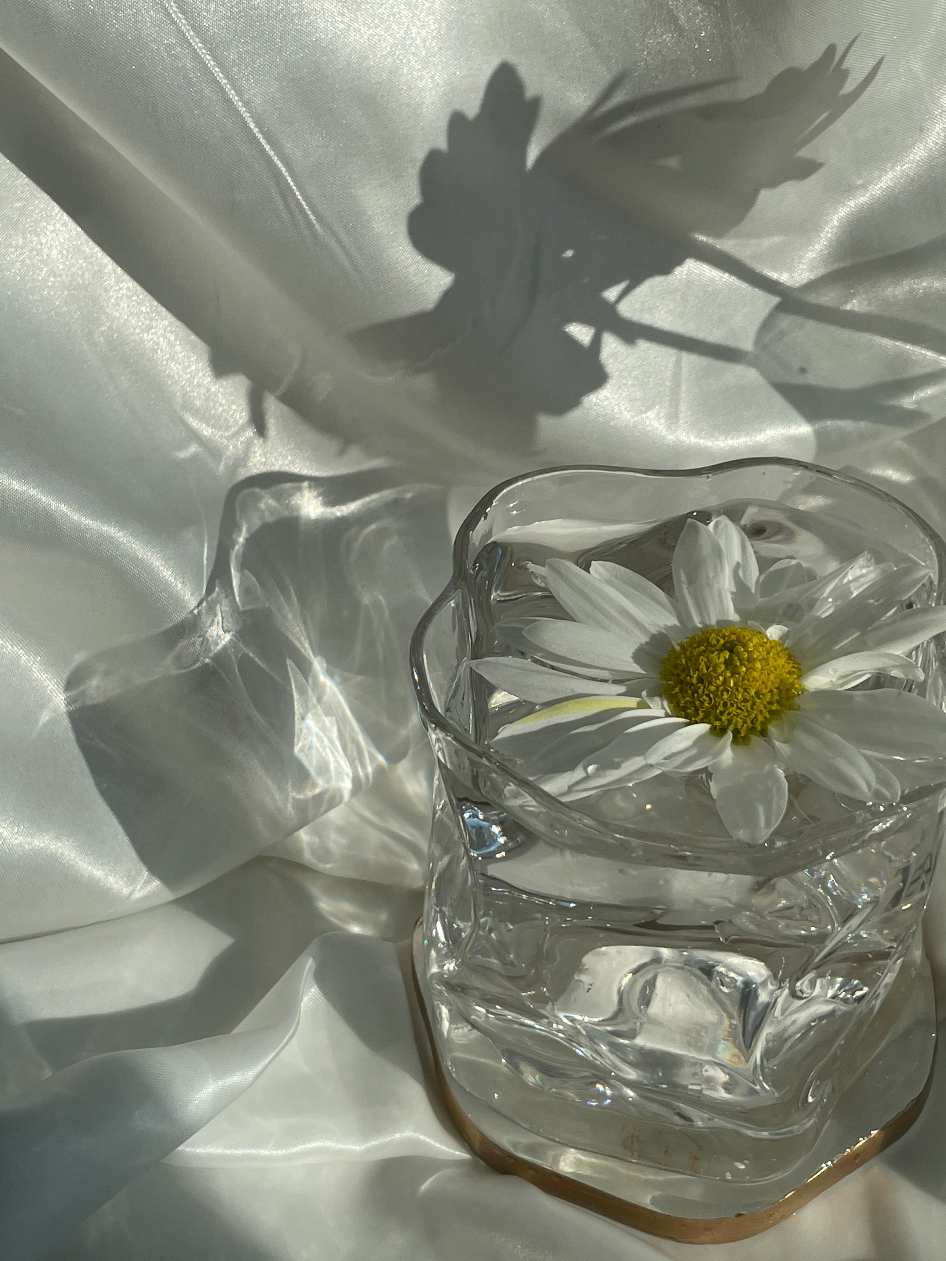 Vézère Glass (Set of Four)